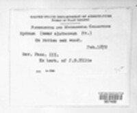 Image Associated With the Occurence